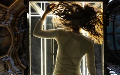 Cabinet de Curiosité – Appach