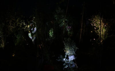 Jardin de nuit, pièce sonore et sensitive pour un jardin potager – Cie l&rsquo;Aubépine